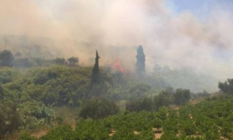 Μεγάλη πυρκαγιά στην Κορώνη Μεσσηνίας - Κοντά σε σπίτια οι φλόγες