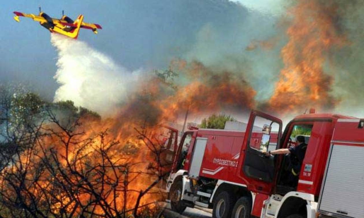 Φωτιά τώρα: Δείτε που υπάρχουν πυρκαγιές σε εξέλιξη αυτή τη στιγμή στην  Ελλάδα - Newsbomb - Ειδησεις - News