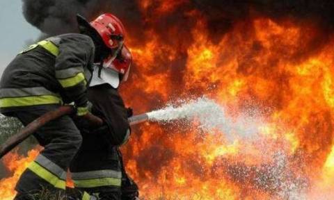Φωτιά τώρα: Υπό μερικό έλεγχο η πυρκαγιά στην περιοχή Μικροχώρι Ωρωπού Αττικής