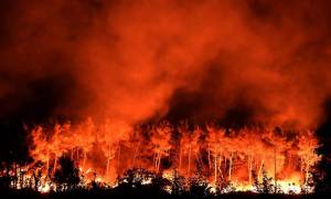 Γαλλία: Χιλιάδες πυροσβέστες στη μάχη με τις φλόγες – Εκκενώθηκαν σπίτια (vid)