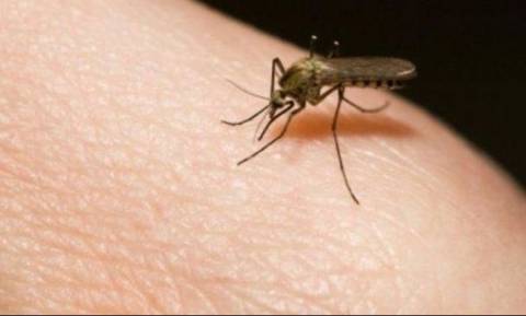 Συναγερμός από κρούσμα ελονοσίας - Σε καραντίνα 4 χωριά