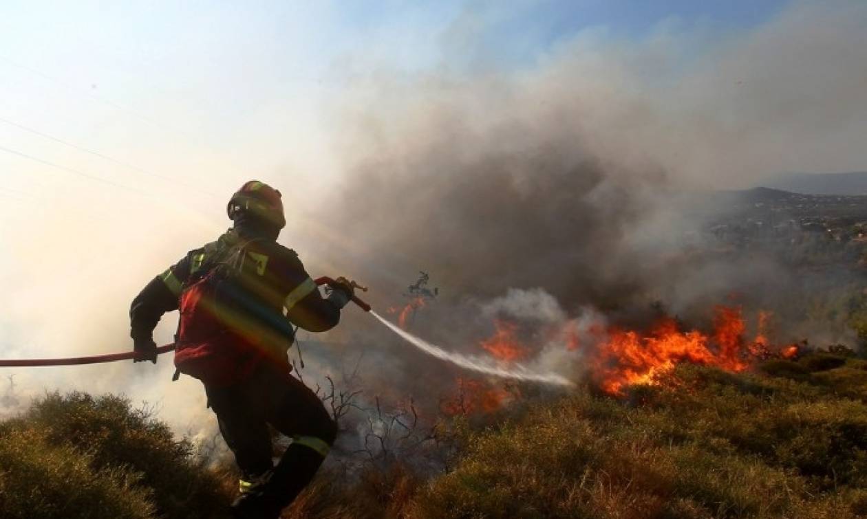 Συναγερμός στην Πύλο για μεγάλη φωτιά