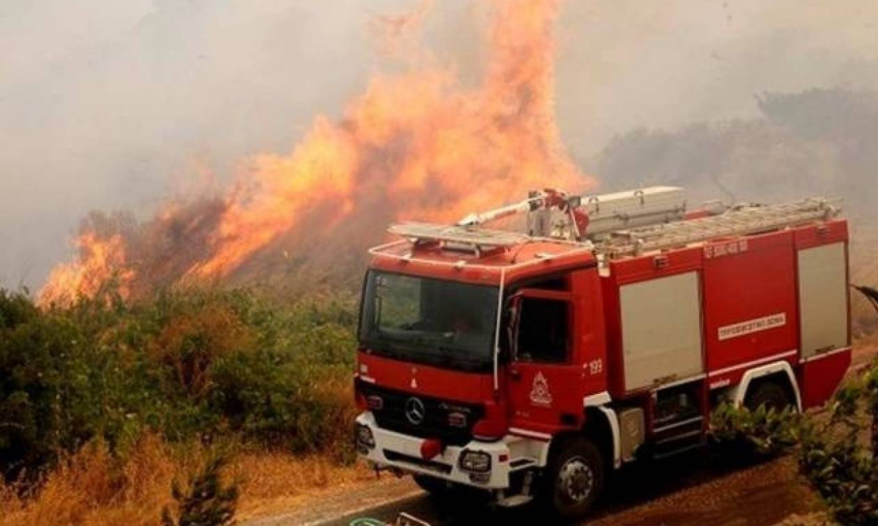 Στις αυλές των σπιτιών η πυρκαγιά στην Ανάβυσσο Αττικής - Συναγερμός στην Πυροσβεστική