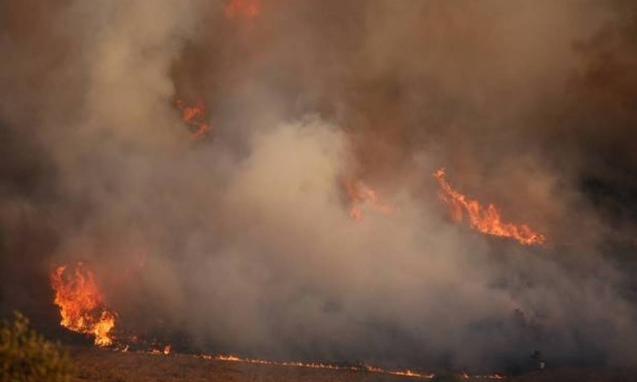 Φωτιά και στο νησάκι Χρυσή – Με σκάφος μετέβησαν οι πυροσβέστες