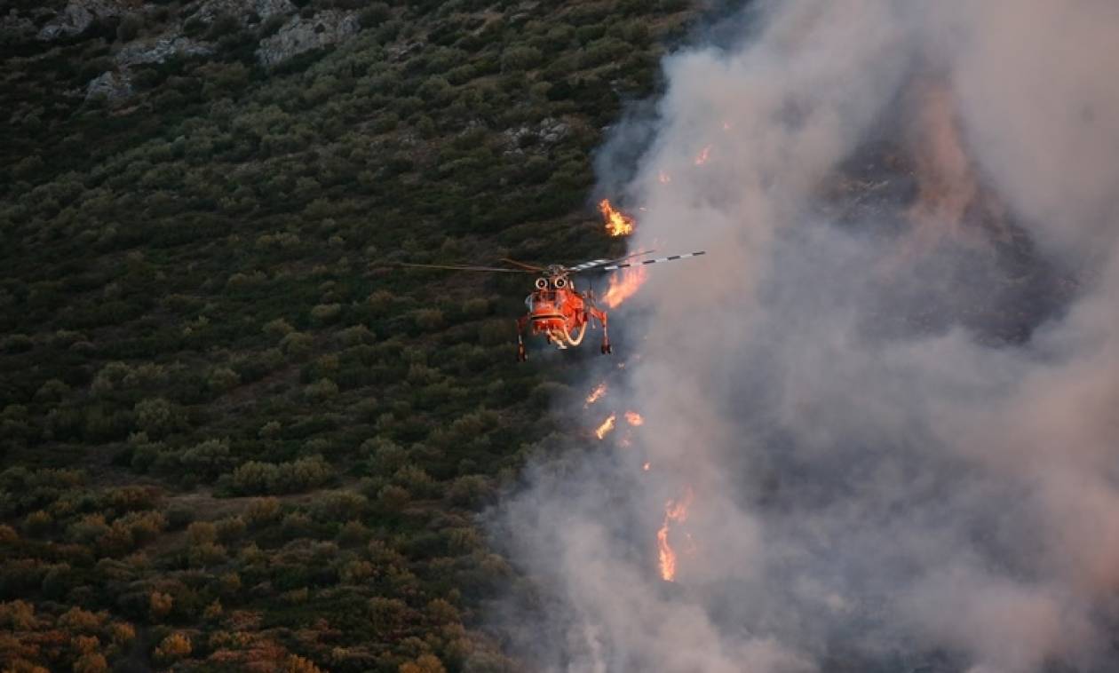 Φωτιά - Aνακοίνωση της Γενικής Γραμματείας Πολιτικής Προστασίας