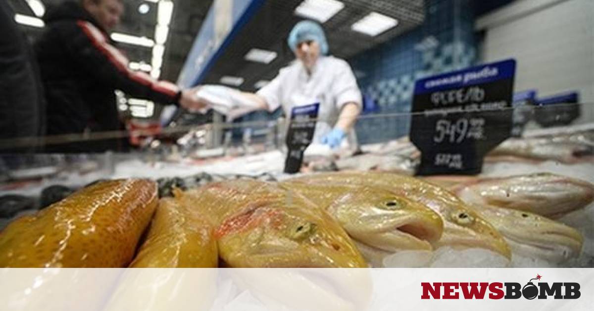 Самая дешевая рыба в магазине. Выбор рыбных продуктов в супермаркетах России. Отгрузка морепродуктов питания.