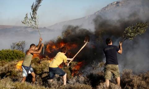 Συναγερμός για φωτιά ΤΩΡΑ κοντά στην Εθνική Οδό Αθηνών – Πατρών