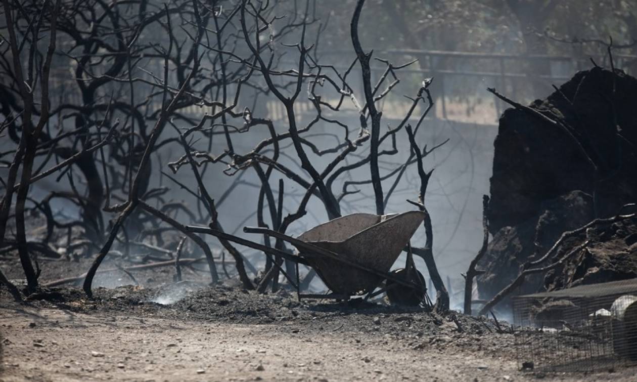 «Κρανίου τόπος» η Ανάβυσσος – Τρεις πυροσβέστες στο νοσοκομείο, κάηκαν σπίτια και οχήματα