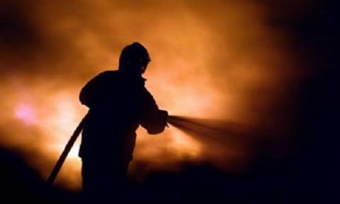 Φωτιά στο Γαλάτσι: Μια ανάσα από τα σπίτια έφτασαν οι φλόγες