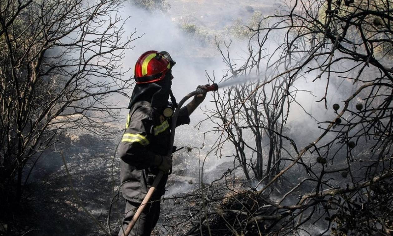 Προσοχή: Υψηλός και την Κυριακή (6/8) ο κίνδυνος φωτιάς