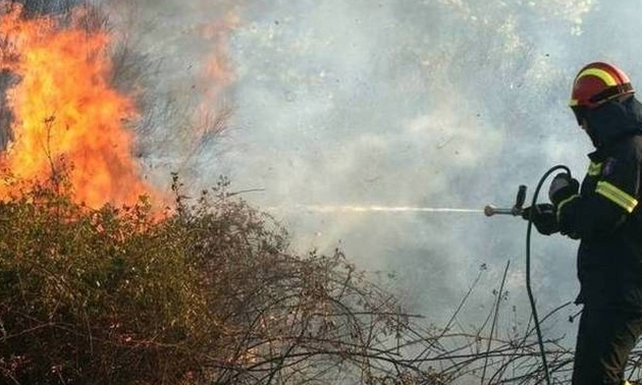 Φωτιά ΤΩΡΑ στο Μενίδι - Κοντά σε σπίτια οι φλόγες