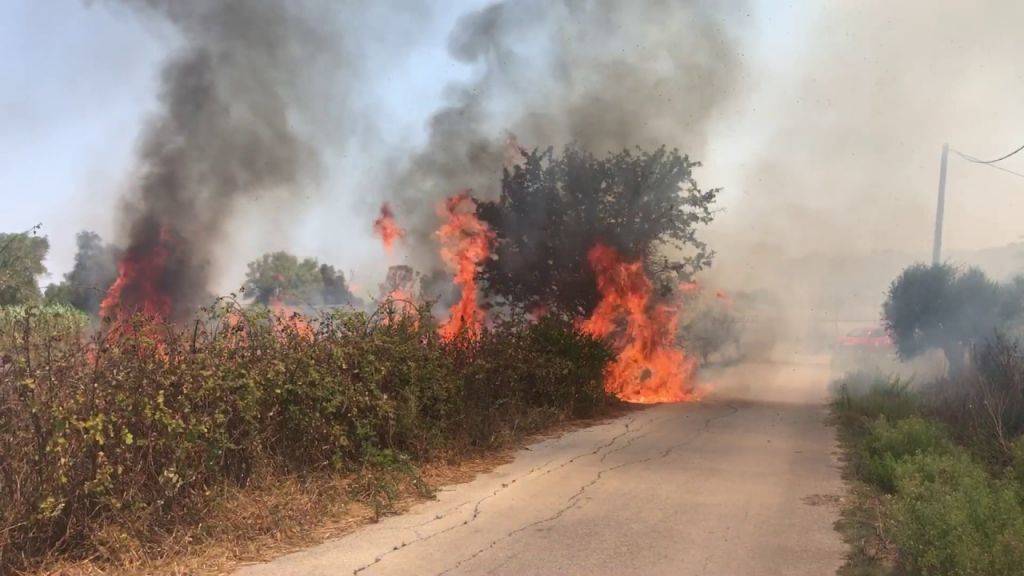 Πρέβεζα: Μεγάλη φωτιά έφτασε κοντά στα σπίτια (pics)