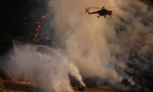 Φωτιά ΤΩΡΑ: Μαίνεται το πύρινο μέτωπο στη Ζάκυνθο (pics&vids)