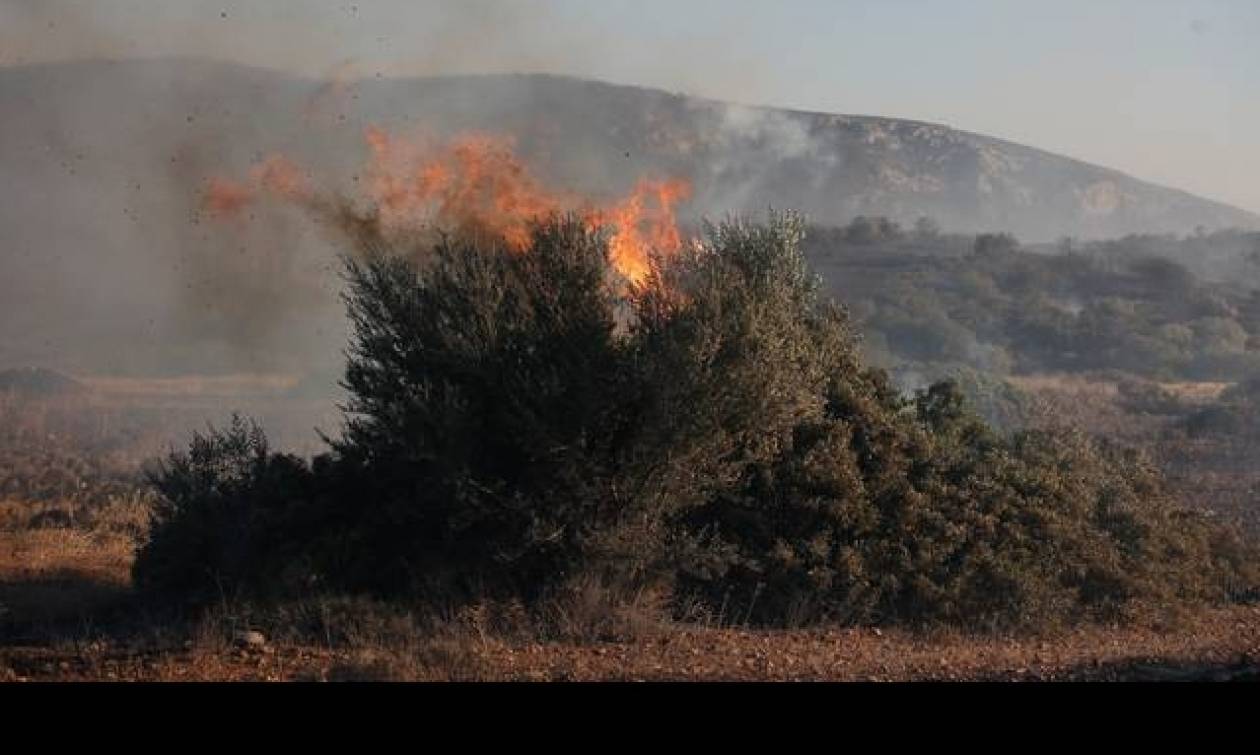 Νέα πυρκαγιά στη Ζάκυνθο