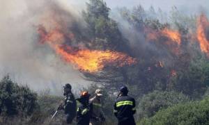 Φωτιά Τώρα: Στις φλόγες για τρίτη μέρα το νησί της Ζακύνθου