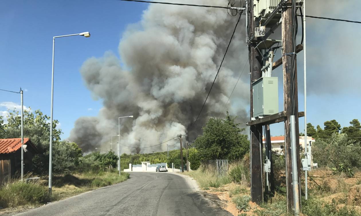 ΑΠΟΚΛΕΙΣΤΙΚΟ - Φωτιά Κάλαμος: Οι πρώτες εικόνες από τη μεγάλη πυρκαγιά (pics)