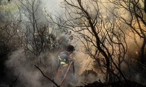 Φωτιά Live: Η Αττική φλέγεται – Εικόνες που κόβουν την ανάσα από τις φωτιές στην Ελλάδα