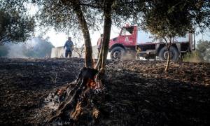 Φωτιά Live - Προσοχή: Σε ποιες περιοχές είναι υψηλός ο κίνδυνος πυρκαγιάς