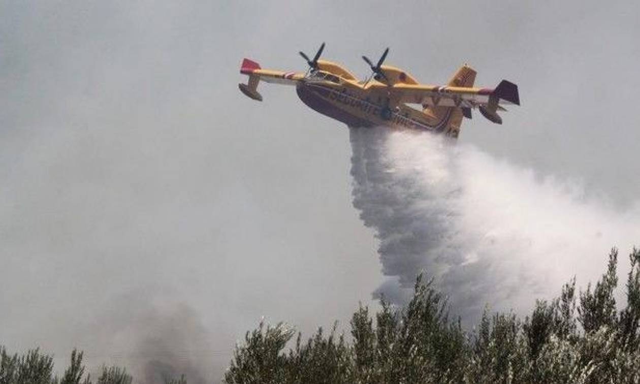 Φωτιά Ζάκυνθος: Σε ύφεση όλα τα πύρινα μέτωπα