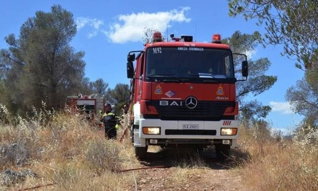 Συνελήφθη επ' αυτοφώρω εμπρηστής στην Κέρκυρα - Είχε βάλει τρεις φωτιές ακόμη