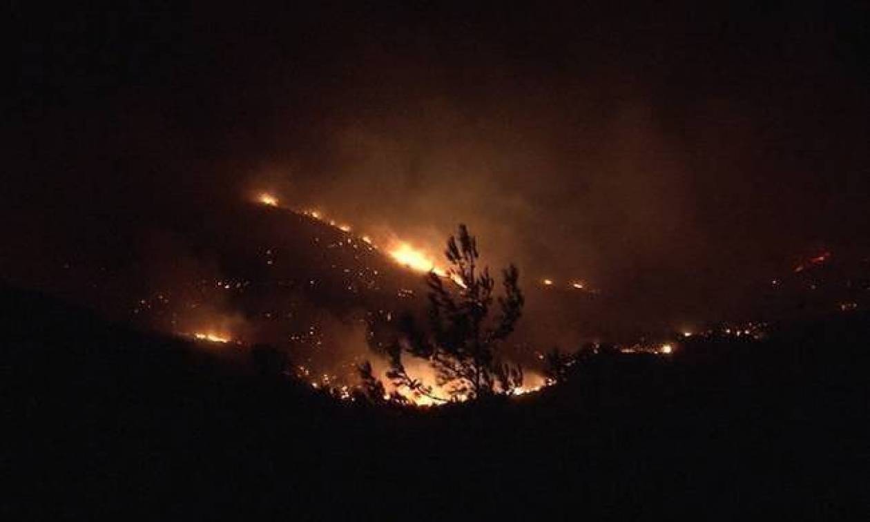 Φωτιά Κέρκυρα: Για εμπρησμό κατηγορούνται τρεις νεαροί