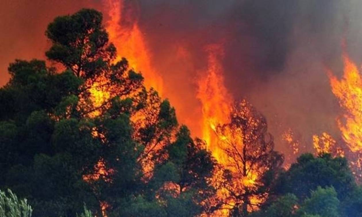 Συναγερμός για φωτιά στο Μαρκόπουλο