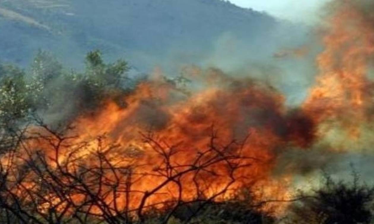 Φωτιά ΤΩΡΑ στην περιοχή Διάσελλα Ηλείας – Κινδύνεψε ηλικιωμένη (pics & vid)