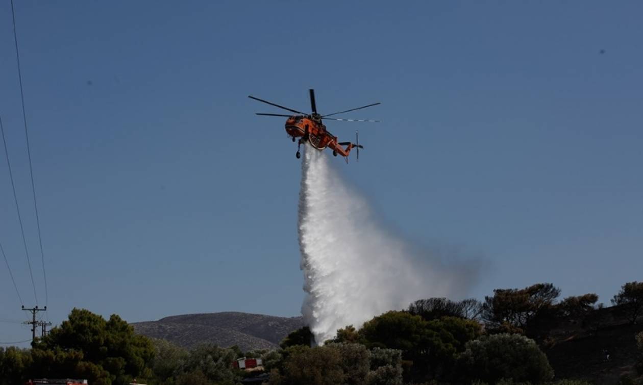 Ζάκυνθος: Πυρκαγιά σε δασική περιοχή της Λιθακιάς