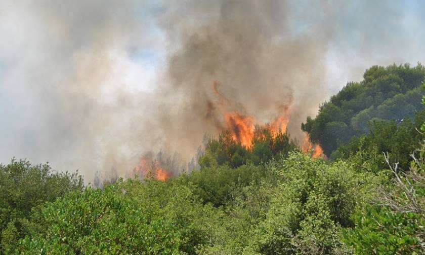 Large fire breaks out in southern Zakynthos