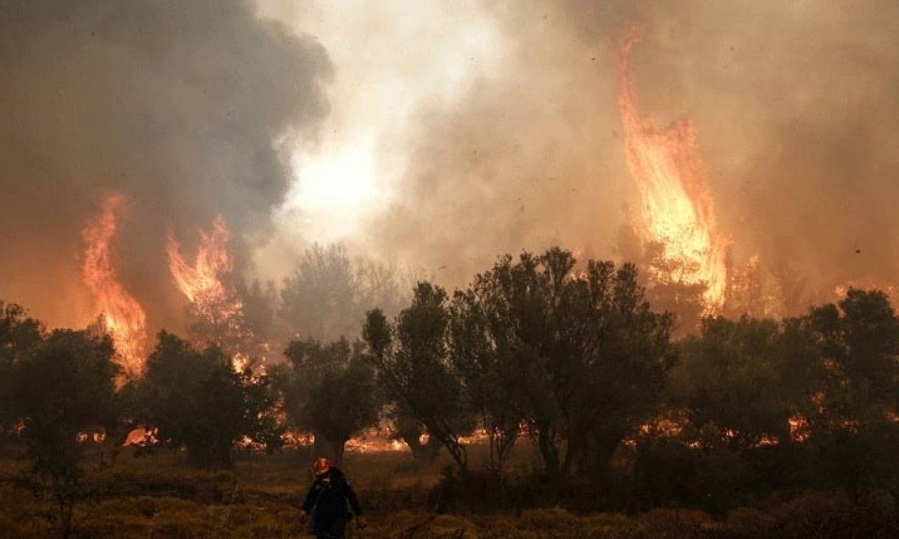 ΠΡΟΣΟΧΗ! Αυτές είναι οι περιοχές που κινδυνεύουν για πυρκαγιά την Κυριακή 27 Αυγούστου