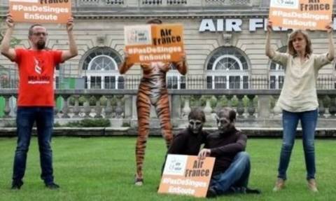 Μια «τίγρη» και δυο «πίθηκοι» διαδήλωσαν έξω από τα γραφεία της Air France!