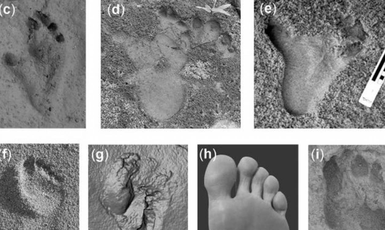 Σπουδαία ανακάλυψη: Στην Κρήτη τα πρώτα ίχνη βάδισης του ανθρωπίνου είδους (pics)