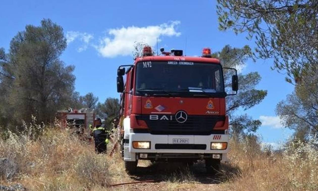 Ηλεία: Συνελήφθησαν δύο αδέλφια για την πυρκαγιά στο Γεράκι