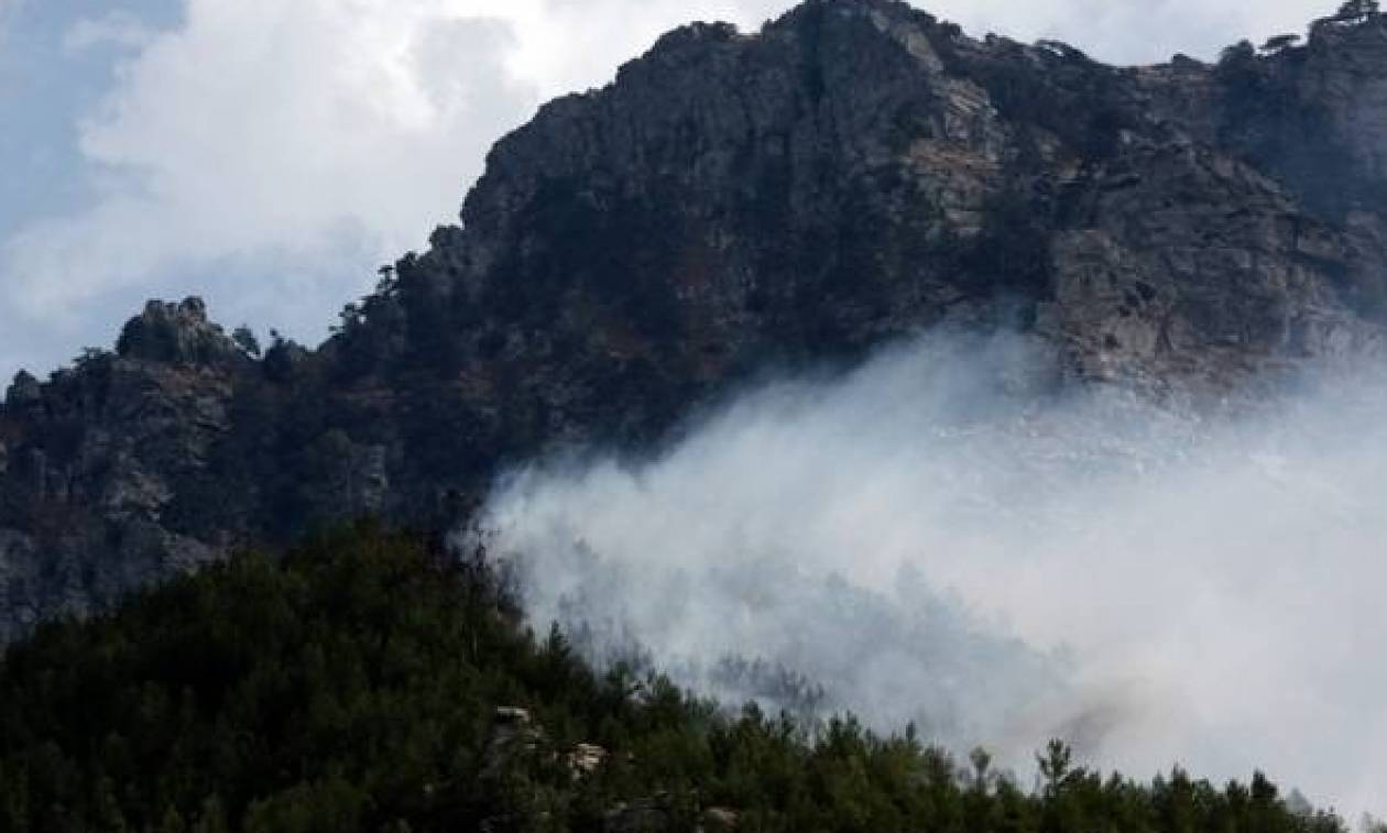 Πυρκαγιά ΤΩΡΑ σε δασική έκταση στη Ρόδο