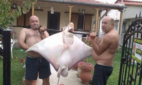 Ψαροντουφεκάς έβγαλε σαλάχι 70 κιλών στα παράλια της Λάρισας (pics)