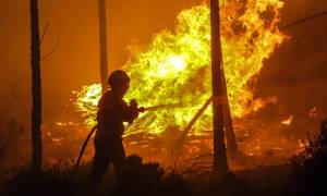 Φωτιά ΤΩΡΑ: Πυρκαγιά στο Καλλίδρομο Φθιώτιδας