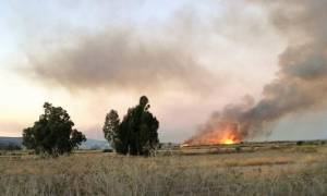 Φωτιά: Υπό έλεγχο η πυρκαγιά στο Τυμπάκι της Κρήτης