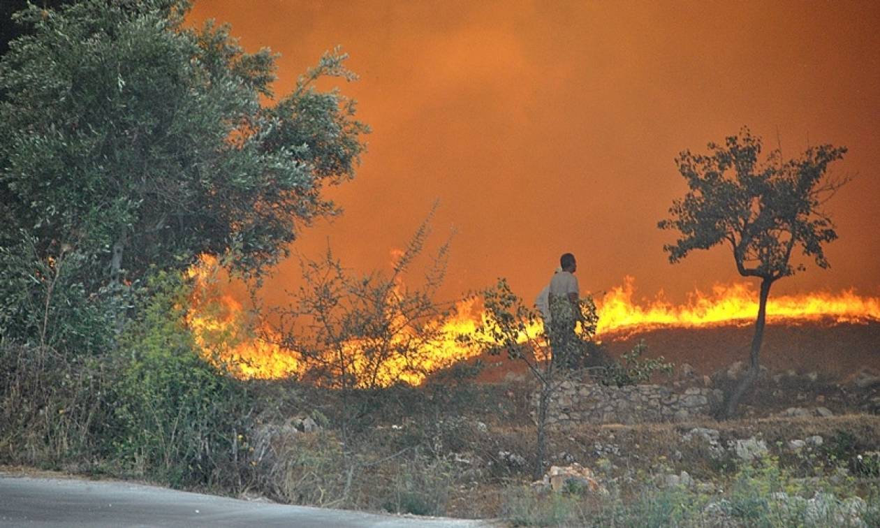 Φωτιά ΤΩΡΑ στην Αχαΐα