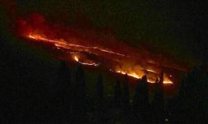 Φωτιά ΤΩΡΑ: Yπό μερικό έλεγχο η πυρκαγιά στην περιοχή Χαβριάτα Κεφαλονιάς (pic)