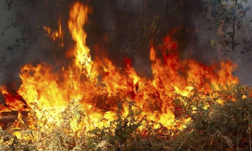 Φωτιά ΤΩΡΑ: Σε εξέλιξη πυρκαγιά στις Βολιώνες Ρεθύμνου
