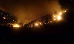 Φωτιά ΤΩΡΑ: Σε ύφεση η πυρκαγιά στην Κοκκινιά Τροιζηνίας (pic)