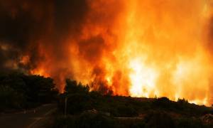 Φωτιά ΤΩΡΑ: Υπό μερικό έλεγχο πυρκαγιά στην περιοχή Σκουτεσιάδα Αγρινίου (pic)