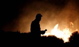Φωτιά ΤΩΡΑ - Ηλεία: Έσβησε το μέτωπο στη Νέα Μανωλάδα - Υπό μερικό έλεγχο στην Αρετή (pic)