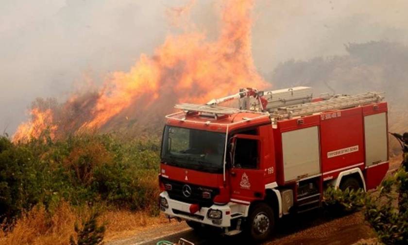 Φωτιά ΤΩΡΑ: Πυρκαγιά στο Αγρίνιο – Οι φλόγες πλησιάζουν τα σπίτια