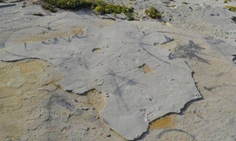 Σοκ στην Κίσσαμο: Έκλεψαν τις «απολιθωμένες πατημασίες» ηλικίας 5,7 εκατομμυρίων ετών