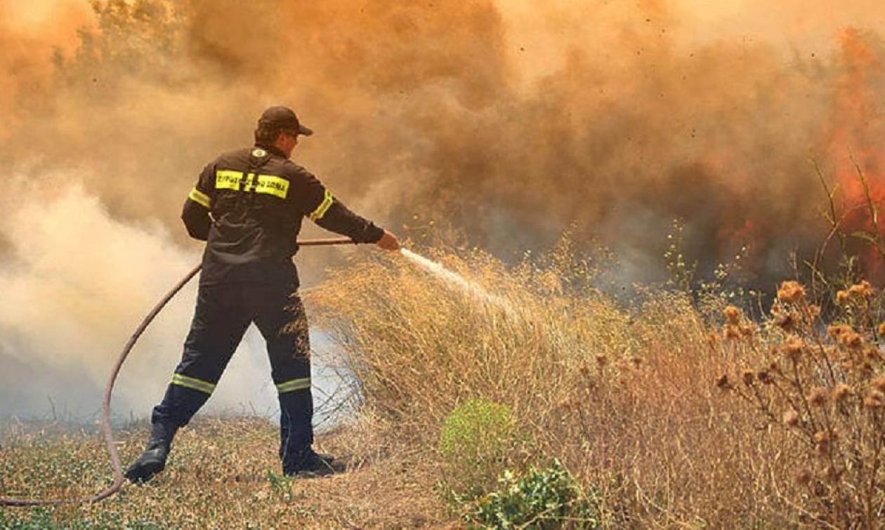 Φωτιά ΤΩΡΑ στη Λάρισα: Πυρκαγιά στην περιοχή της Αγίας Παρασκευής