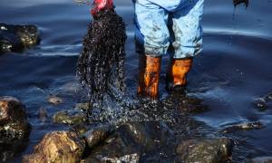 Πετρελαιοκηλίδα στην Αττική: Η καταστροφή συνεχίζεται εν μέσω πολιτικής αντιπαράθεσης