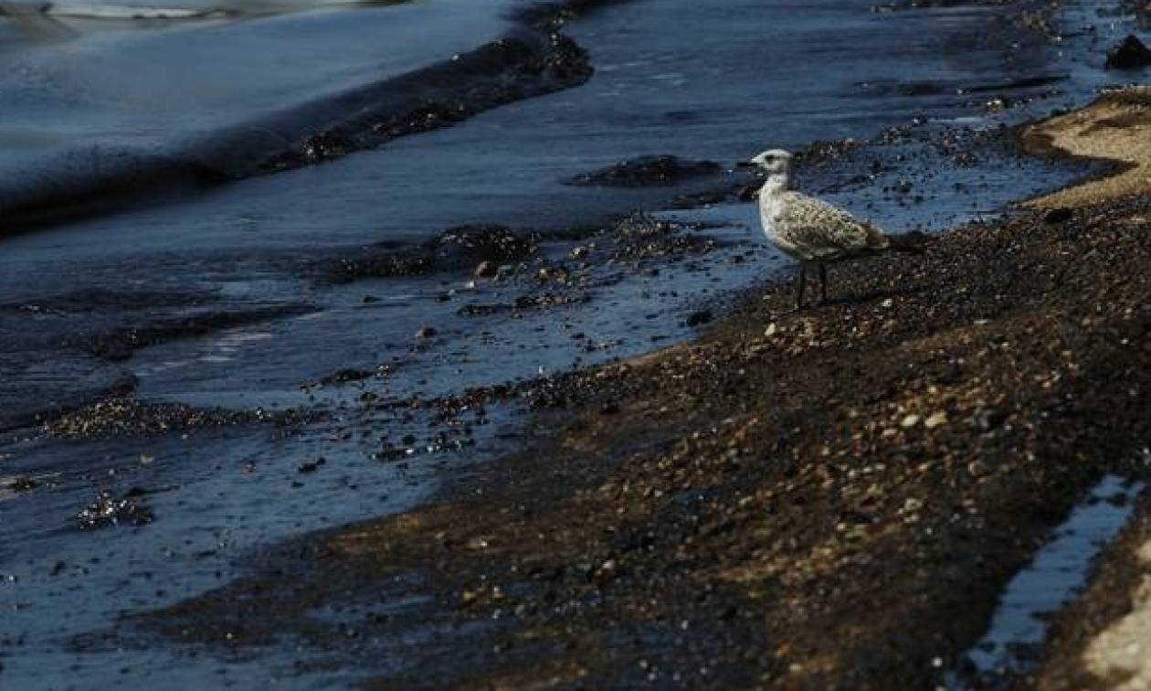 Αυτοψία σε Ελληνικό και Γλυφάδα από τον υφυπουργό Ναυτιλίας