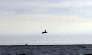 Ιταλία: Στρατιωτικό αεροσκάφος κατέπεσε στη θάλασσα – Αγωνία για τον πιλότο (pics & vid)