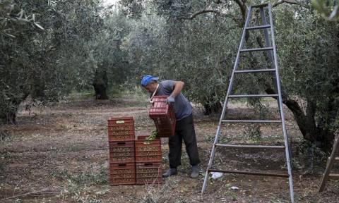 Αύξηση προκαταβολών για τους Έλληνες αγρότες – Τι αποφάσισε η Ευρωπαϊκή Επιτροπή